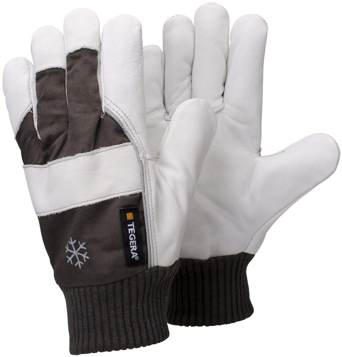 57 TEGERA handschoen mt 08