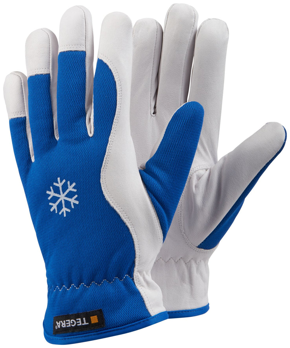 217 TEGERA lederen handschoen mt 08