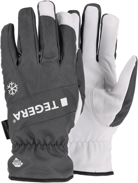 287 TEGERA lederen handschoen mt 10