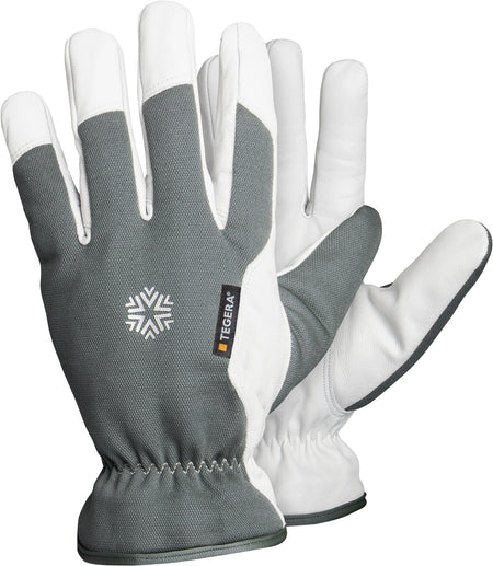 7792 TEGERA handschoen mt 12